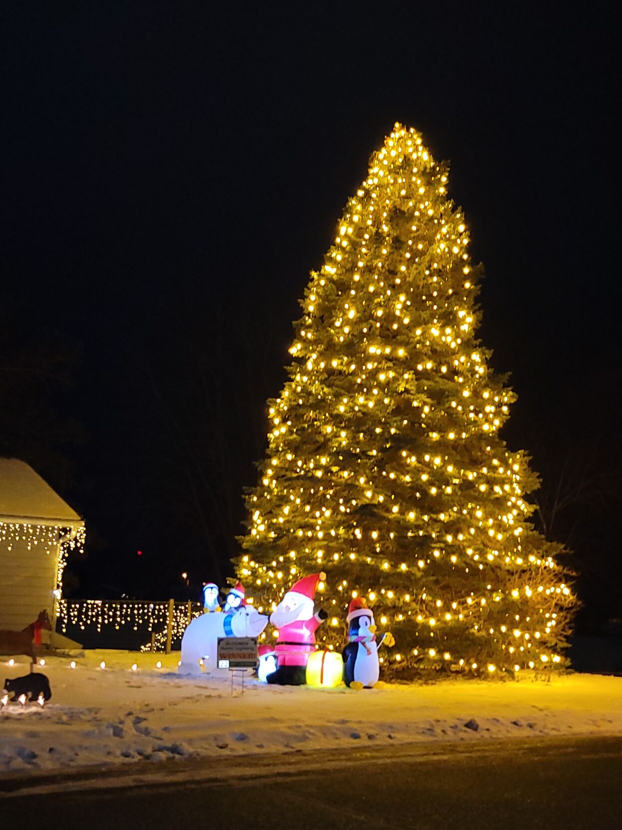 2022 XMAS LIGH 2.jpg